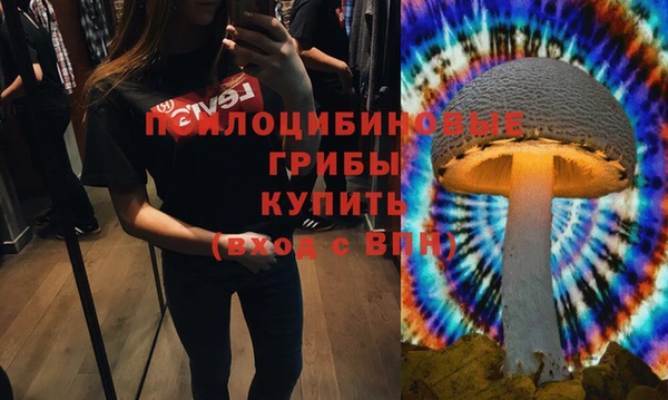 spice Беломорск
