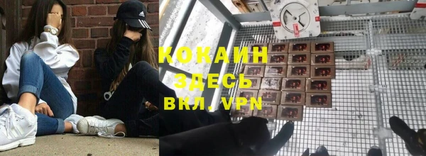 амф Аркадак